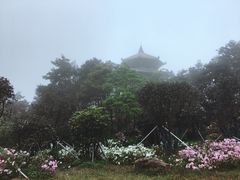 -梧桐山风景名胜区
