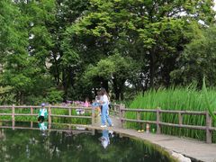 -成都市活水公园