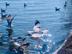 -丽江泸沽湖景区