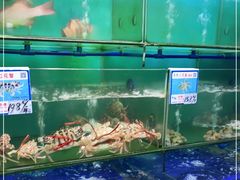 -南海渔家•海鲜•正宗海南菜(海棠湾店)
