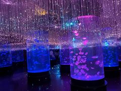 -波塞冬海底世界
