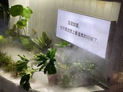 -海市蜃楼花园主题餐厅(石顶店)