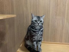 -藦茜花园宠物主题亲子互动体验馆(国顺东路店)