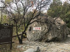 -阳台山自然风景区