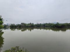 -江心屿景区
