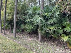 -昆山城市生态森林公园