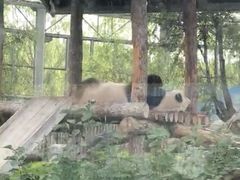 -鄂尔多斯野生动物园