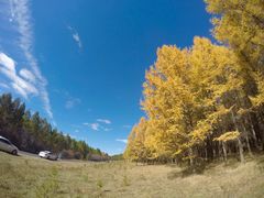 -塞罕坝国家级自然保护区