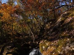 -五女峰国家森林公园