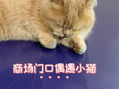 -Professor Lee (K11艺术中心店)