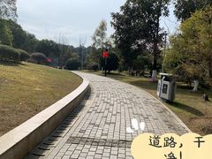 -铁山坪森林公园