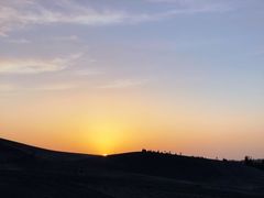 -许记驴肉黄面胡杨焖饼