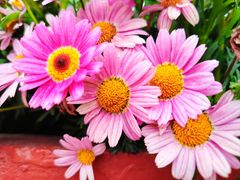 -百伦百货(简阳店)