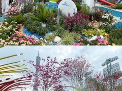 -海心沙亚运公园