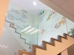-瑞派申生动物医院·24H夜诊·国际动物医疗中心·骨外科(吴中路店)
