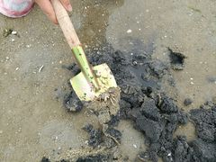 -红树林天天赶海