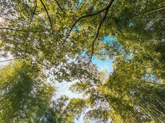 -苏州河梦清园环保主题公园