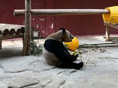 -杭州野生动物世界