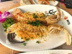 -醉壹号海鲜大排档•三十年老字号(厦门美食地标店)