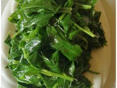 -亚龙湾海底世界