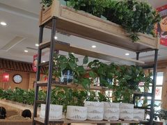 -大清花饺子(山庄店)