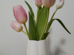 -新荣记(金融街店)