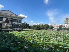 -荔湾湖公园