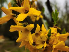 -元大都城垣遗址公园