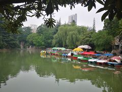 -西苑公园