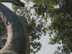 -求水山公园