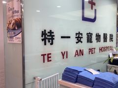 -特一安24小时宠物医院·骨科·中兽医