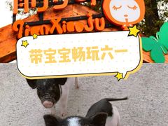 -前小桔亲子创意农场·草莓采摘·露营烧烤