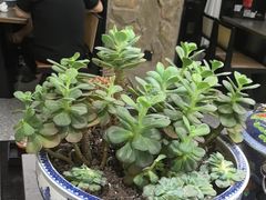 -陈熹公民族美食文化餐厅(中华广场店)