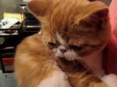 -臻鲜燕海鲜融合餐厅(金陵style店)