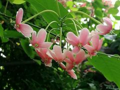 -祥源·阜阳生态乐园