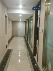 -碧莲盛·不剃发植发