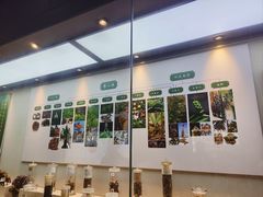-广东中医药博物馆