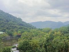 -呀诺达热带雨林