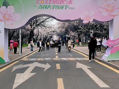 -吉林大学(南岭校区)