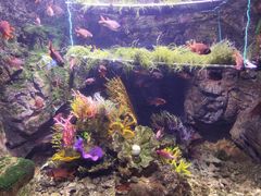 -太平洋海底世界