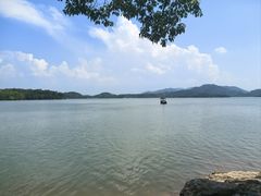 -天乐农家鱼头王(天目湖店)