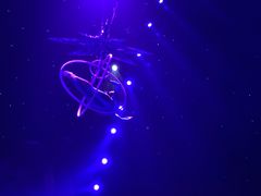 -珠海横琴长隆《卡卡虎奇遇记》