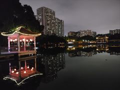 -荔湾湖公园