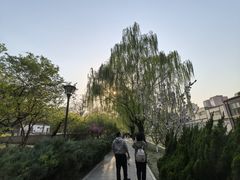 -元大都城垣遗址公园