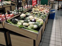 -欧尚(扬州商城江阳中路店)