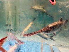 -漓江又一軒·广西菜·桂林米粉(梅林店)