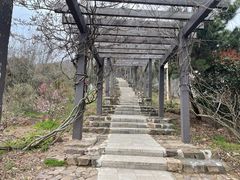 -缥缈峰景区