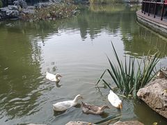 -宣武艺园