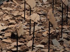 -盘龙城国家考古遗址公园