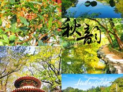 -颐和园